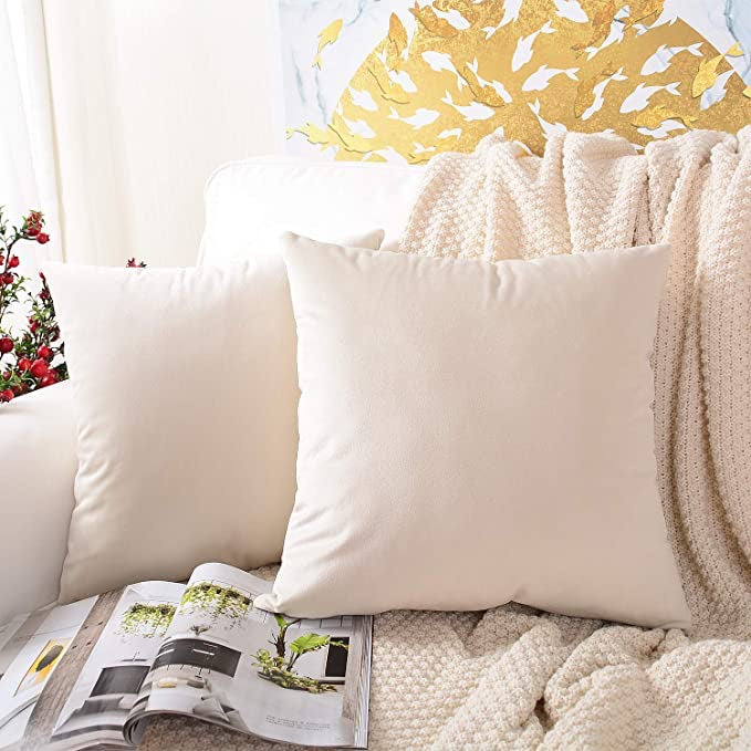 Housses de coussin en velours