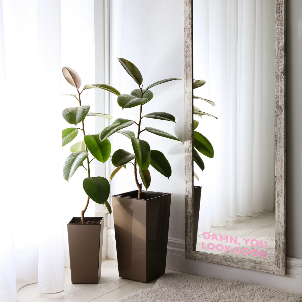 Statement Spiegel Aufkleber