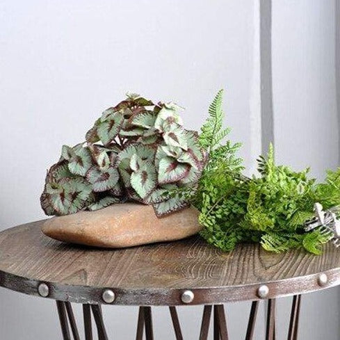 Foglie di ciclamino colorate artificiali