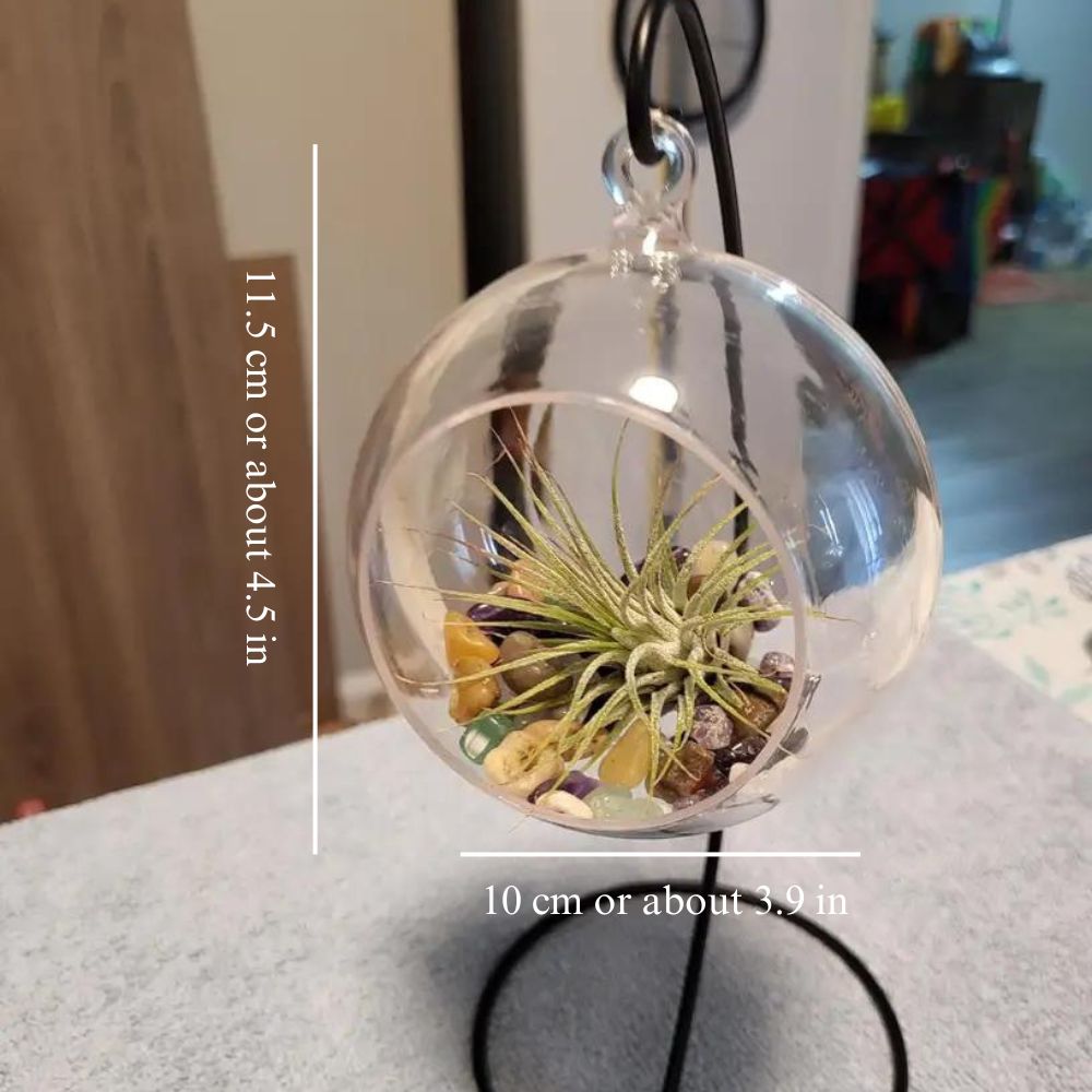 Jardinière ronde pour terrarium