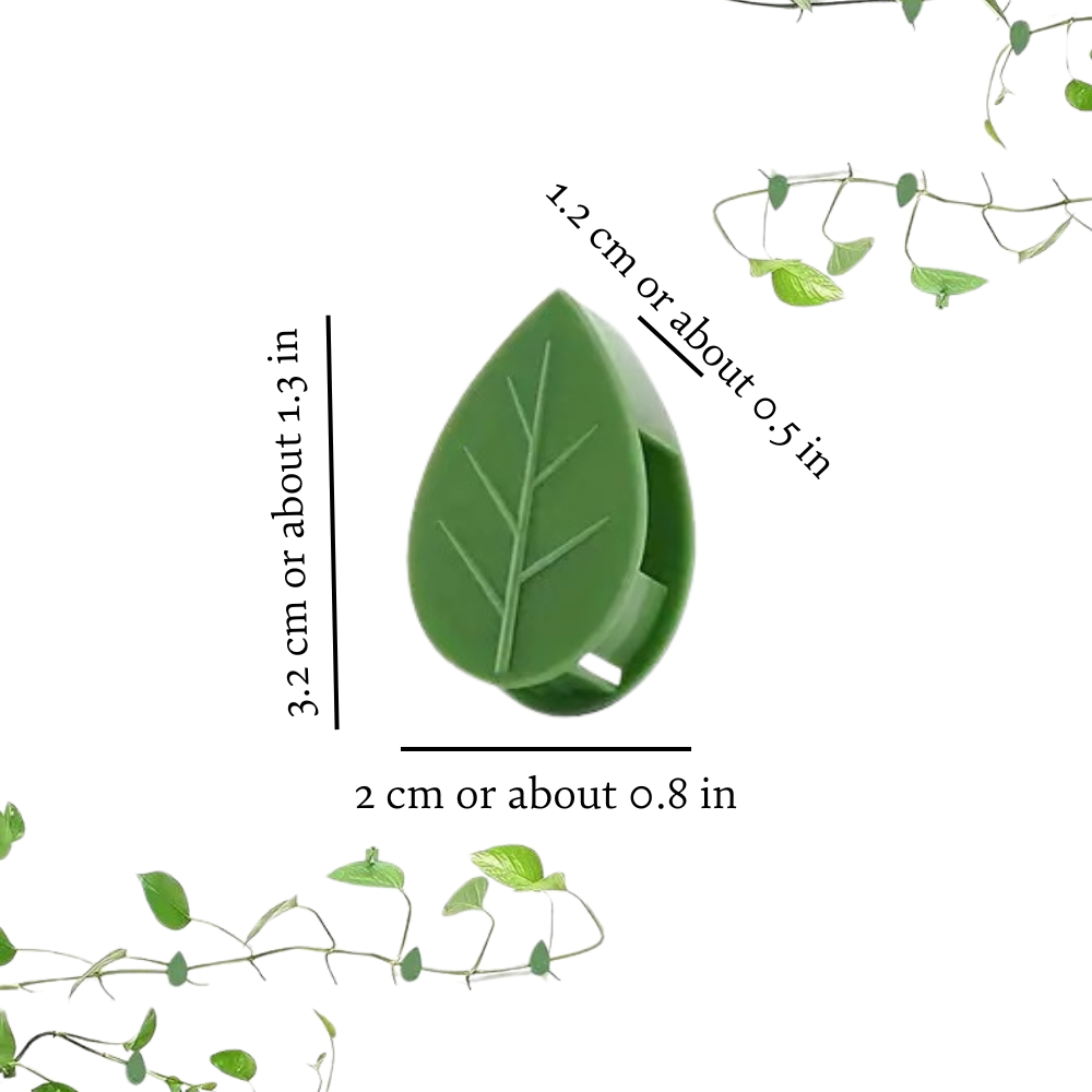 Wandclips für Weinpflanzen