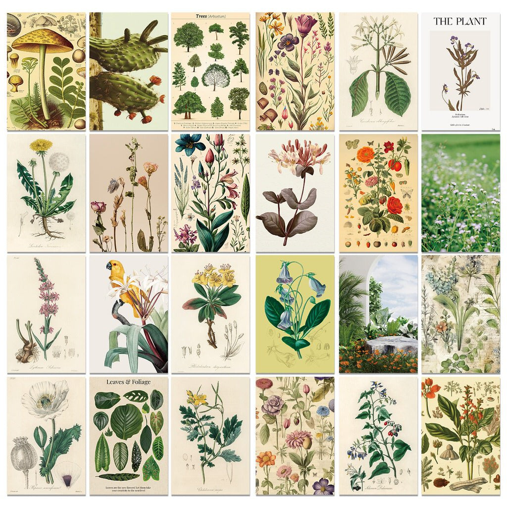 Kit de cartes de collage murales à base de plantes vintage