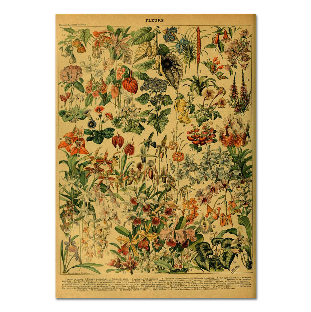 Flowers Vintage Kraft Paper Poster floral flowers retro SUB CATEGORY_Posters vintage poster vintage print