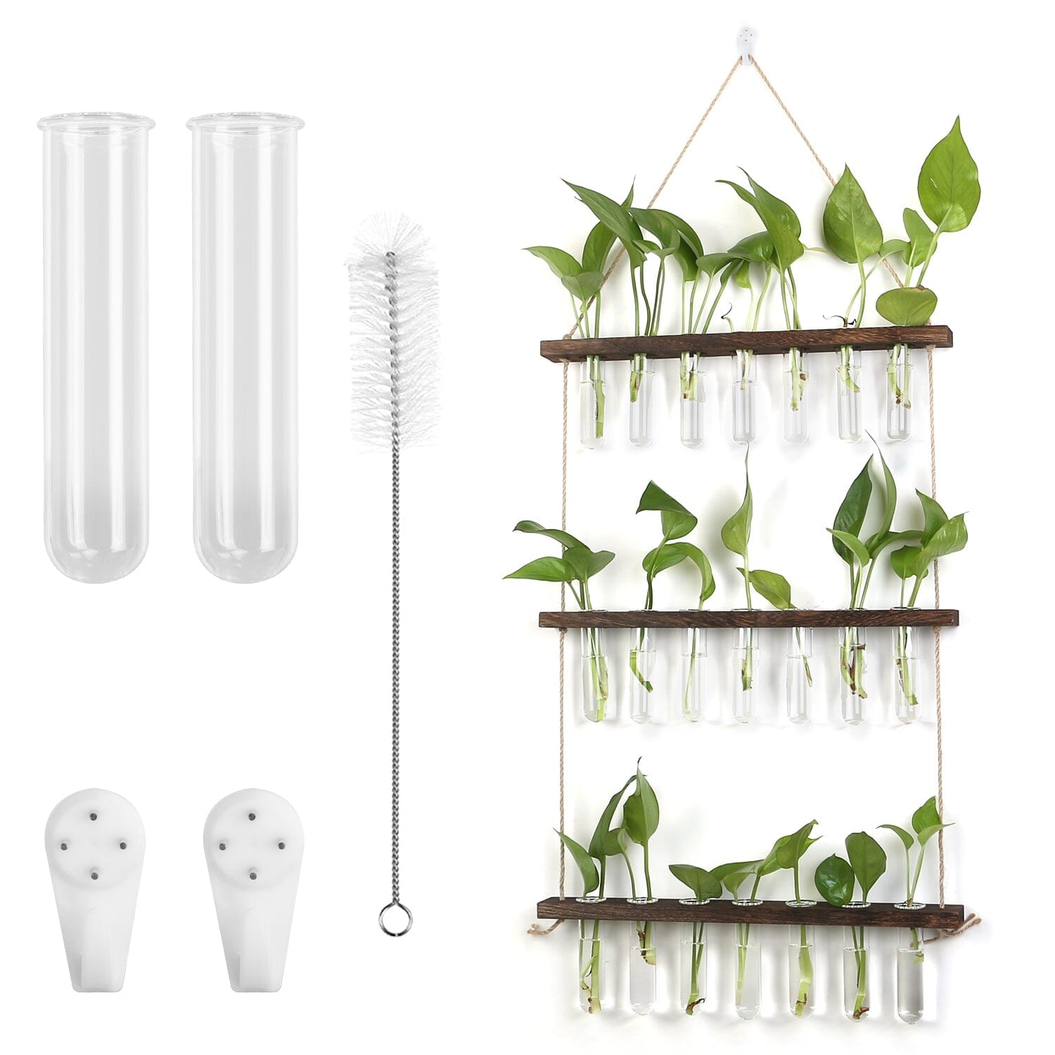 3 hanging plants 3-Tier Wall Hanging Glass Tube Planter – BAJE HOME