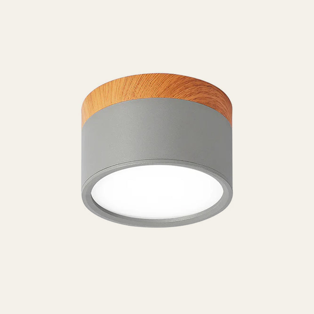 Cylindrical LED Ceiling Light