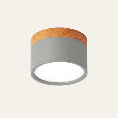 Cylindrical LED Ceiling Light