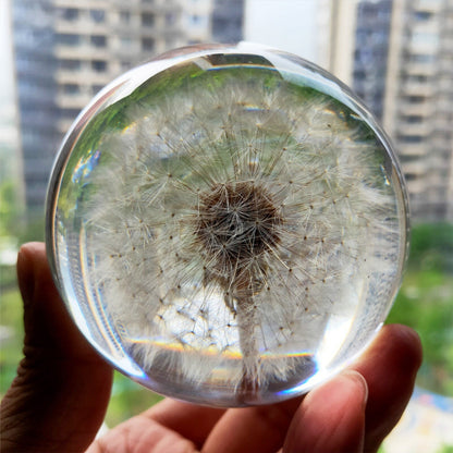 Real Dandelion Crystal Lens Ball