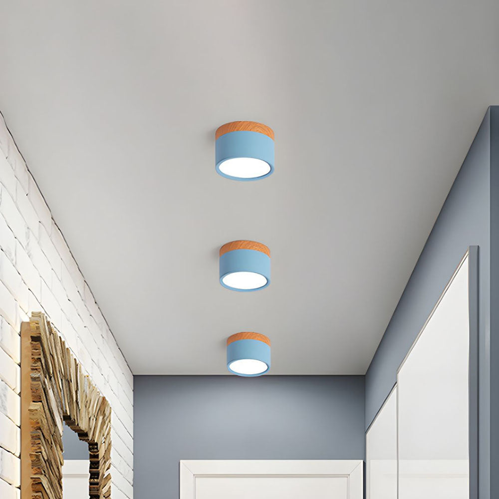 Cylindrical LED Ceiling Light