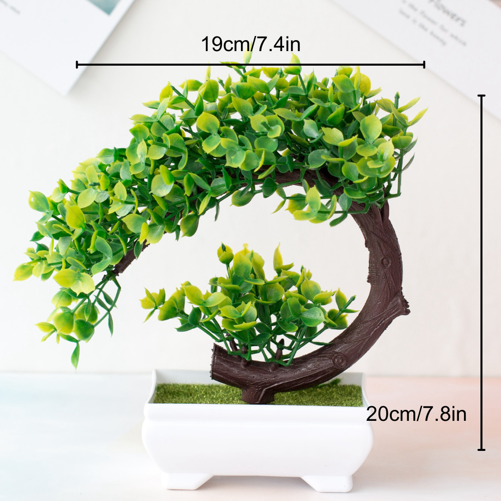 Ornamental Bonsai Tree