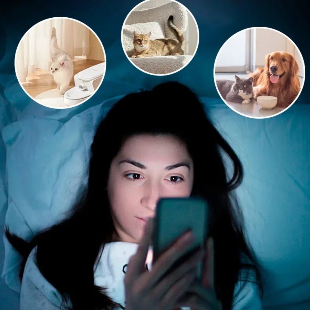 GuardianPixie™ Motion Detection Camera