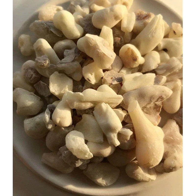 10g Oman Holy White Resin Frankincense