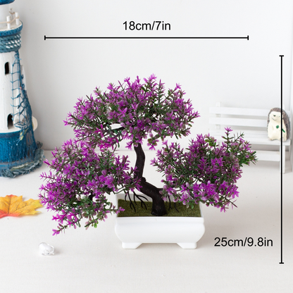 Ornamental Bonsai Tree