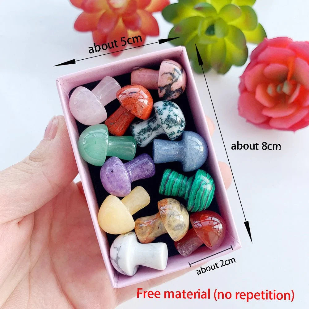 12pc Natural Crystal Mini Mushroom Gift Box