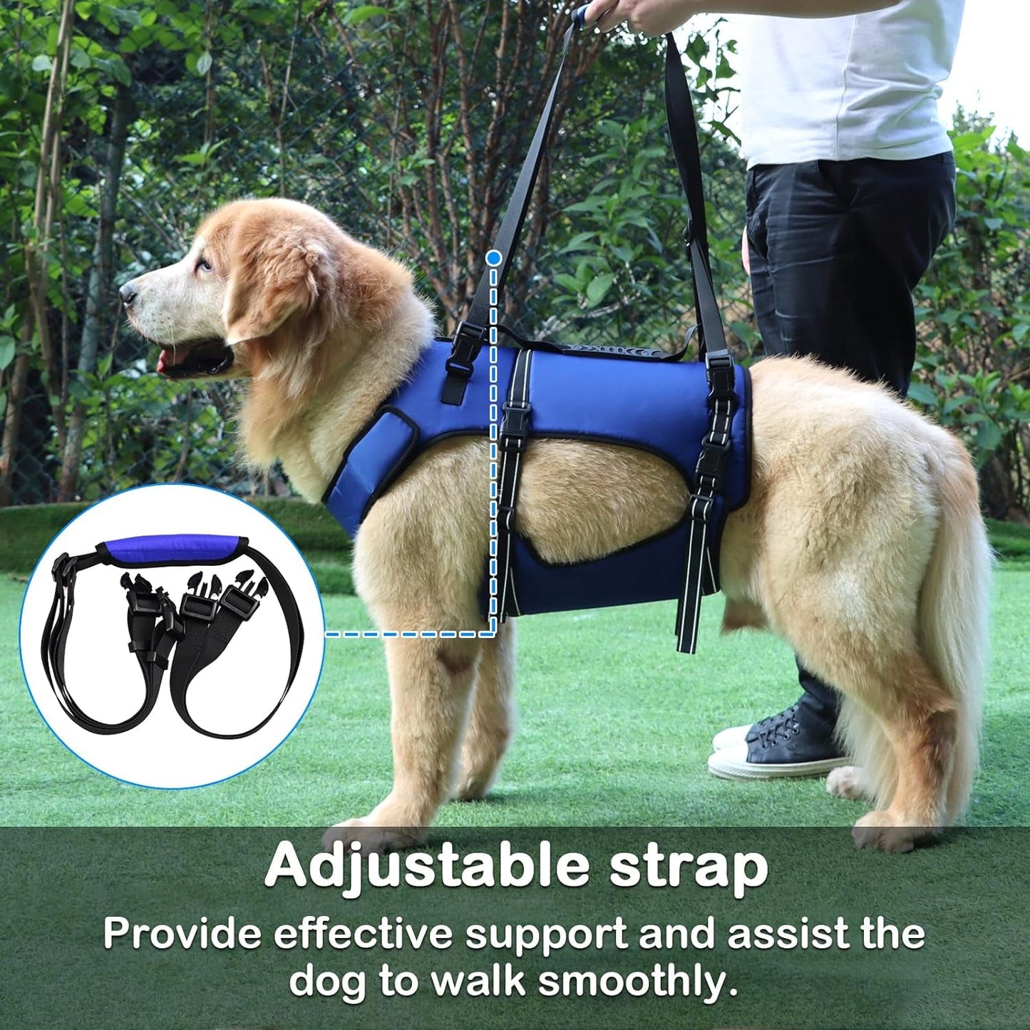 Dog Lift Harness, Full Body Support & Recovery Sling, Pet Rehabilitation Lifts Vest Adjustable Breathable Straps for Old, Disabled, Joint Injuries, Arthritis, Paralysis Dogs Walk (Blue, S) Collars Dogs Harnesses Harnesses & Leashes Pet Supplies Vest Harnesses