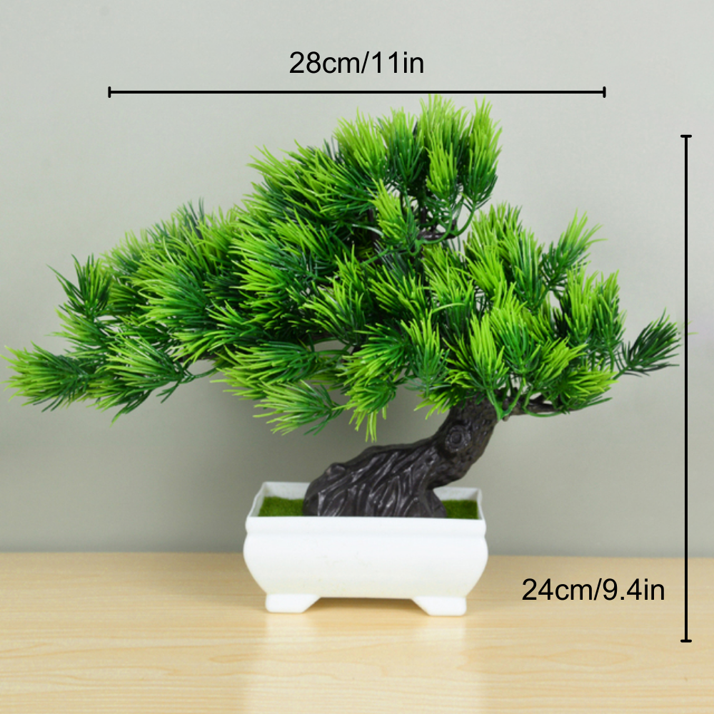 Ornamental Bonsai Tree