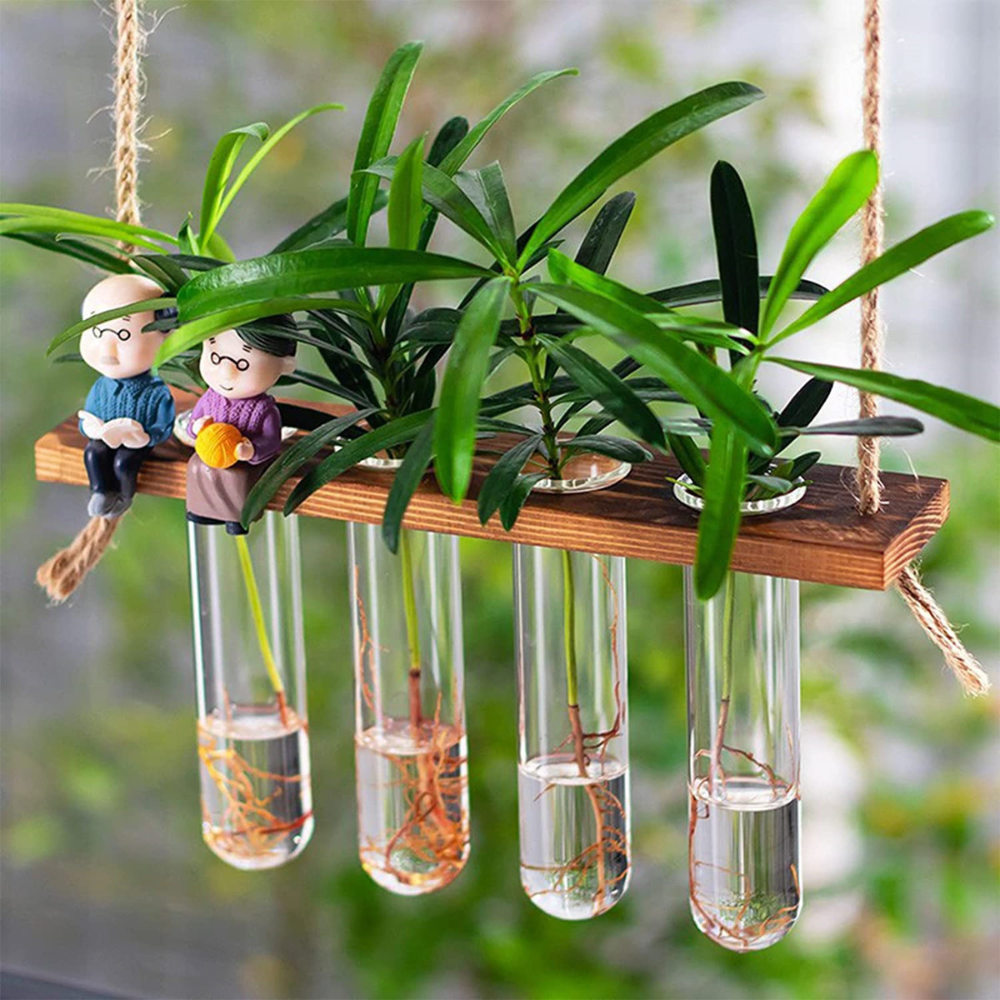 Wall Hanging Propagation Tubes