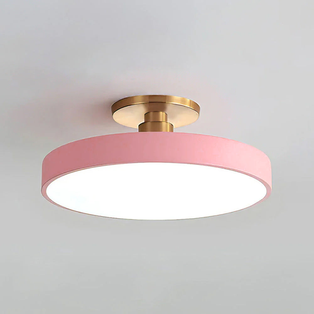 Metallic LED Ceiling Light