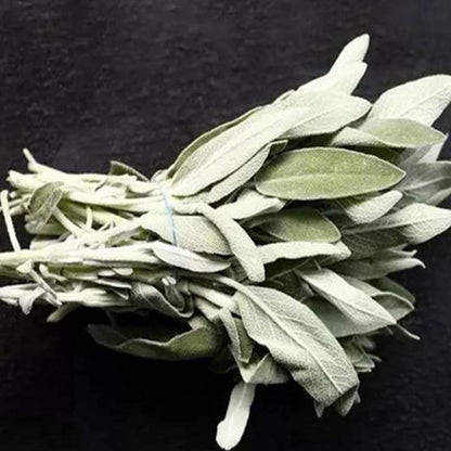 2 Bundles White Sage Smudge Stick