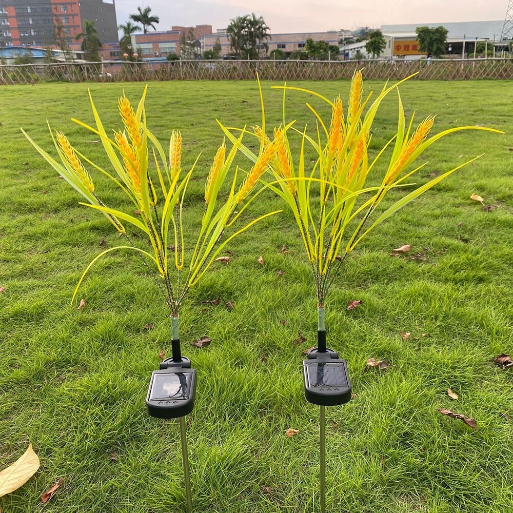 Paquet de 2 lampes solaires en forme d'épis de blé