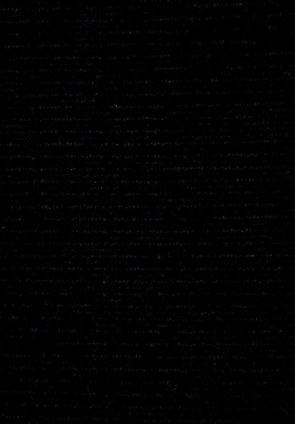 Plain Black Rug