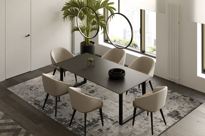 Verona Anthracite - Beige Rug