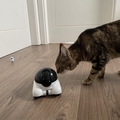 GuardianPixie™ Motion Detection Camera