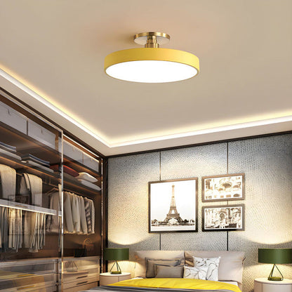 Metallic LED Ceiling Light