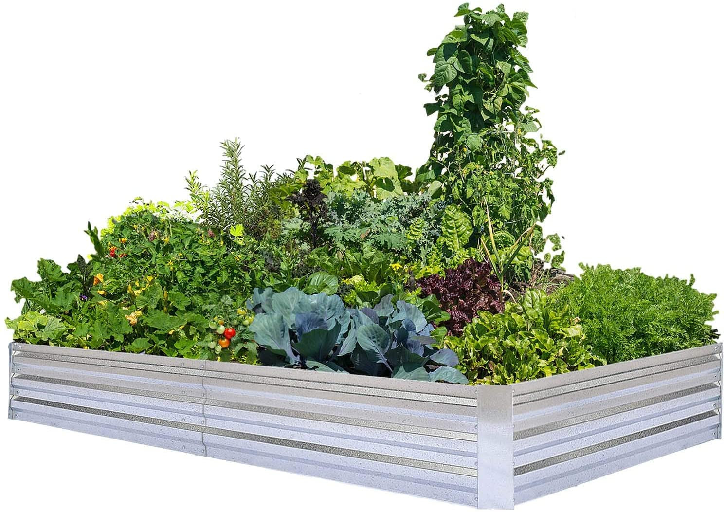 FOYUEE Galvanized Raised Garden Beds for Vegetables Large Metal Planter Box Steel Kit Flower Herb, 8X4X1Ft Gardening & Lawn Care Lawn & Garden Patio Planters & Container Accessories Pots Raised Beds