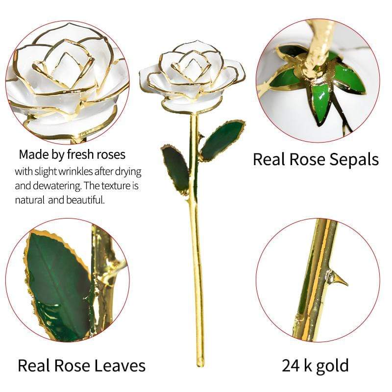 Rosa Eterna Mergulhada em Ouro 24k