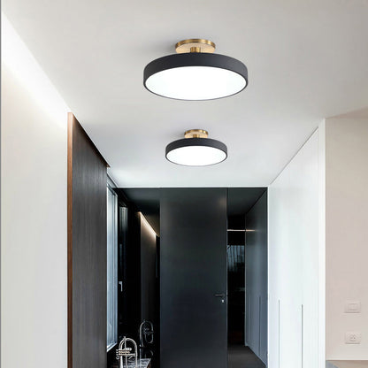 Metallic LED Ceiling Light