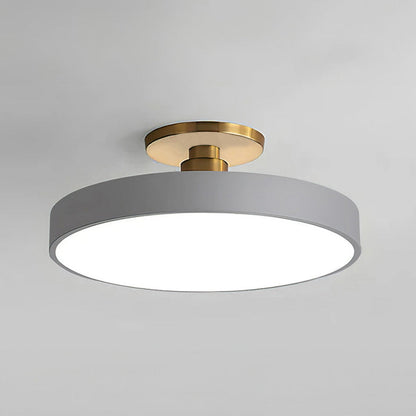 Metallic LED Ceiling Light