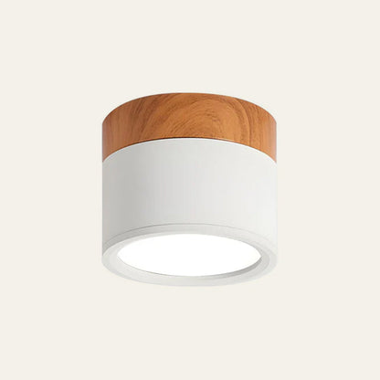 Cylindrical LED Ceiling Light