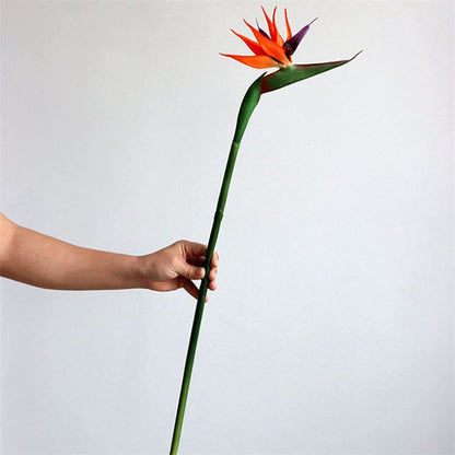 Bird of Paradise Branch