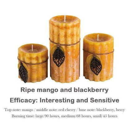 3pcs/Set Essential Oil Scented Candle