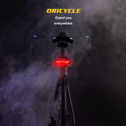 Oricycle C2 Rechargeable Bike Tail Light LED