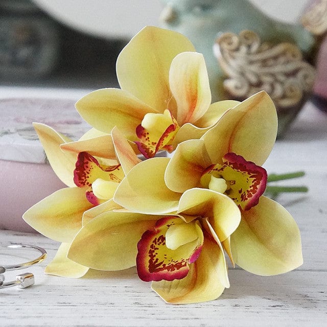 4Pcs Orchid Bundle