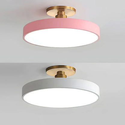 Metallic LED Ceiling Light