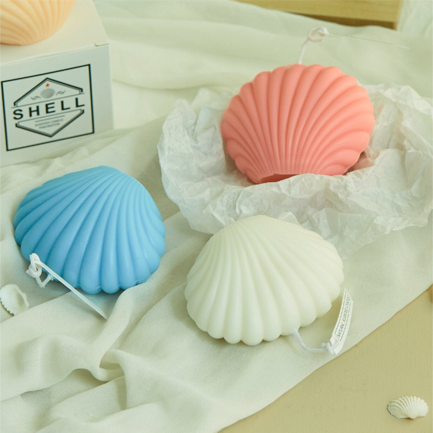 Sea Shell Candles