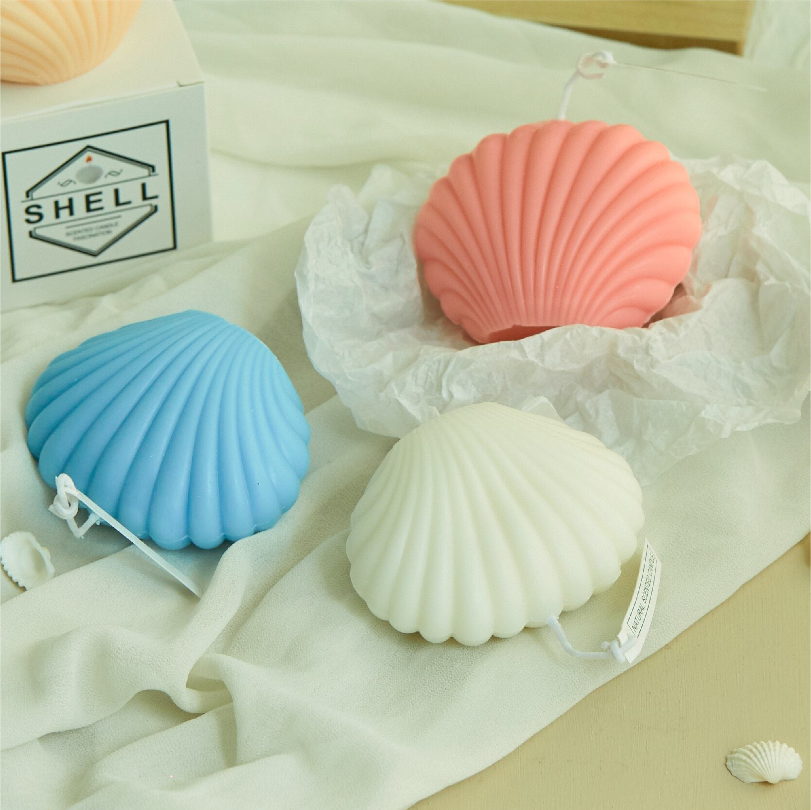 Sea Shell Candles