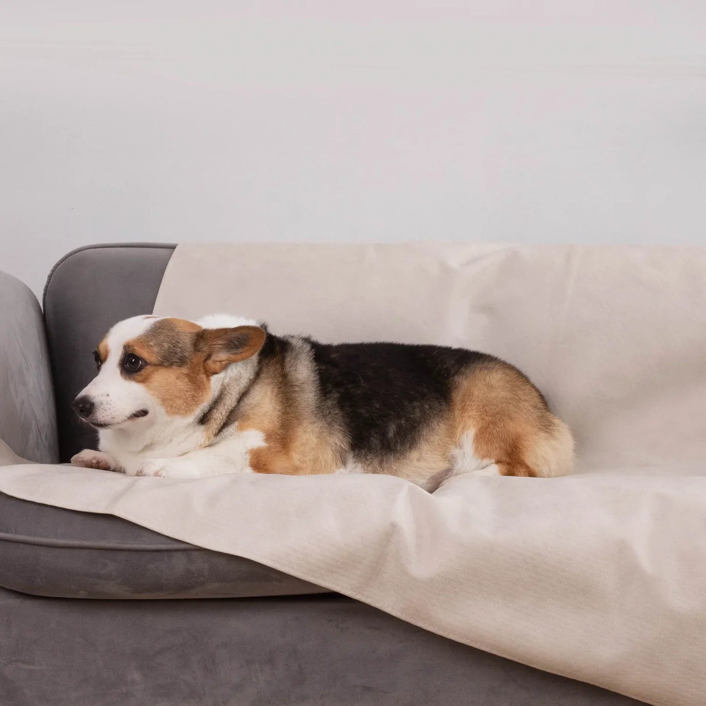 Waterproof Sofa Cover for Pets