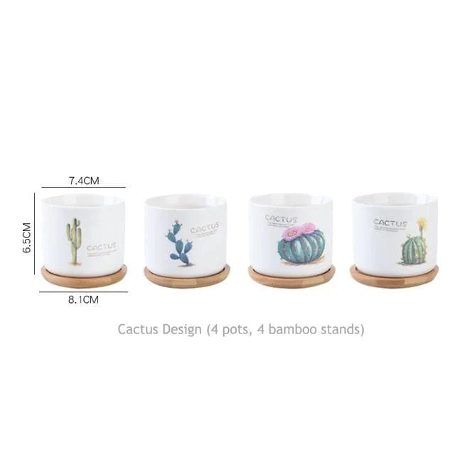 4pcs vasos de flores de cacto