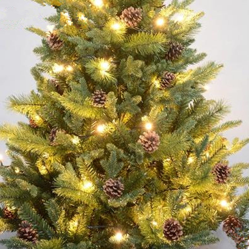 Beleuchteter Tannenzapfen-Weihnachtsbaum mit Laternensockel