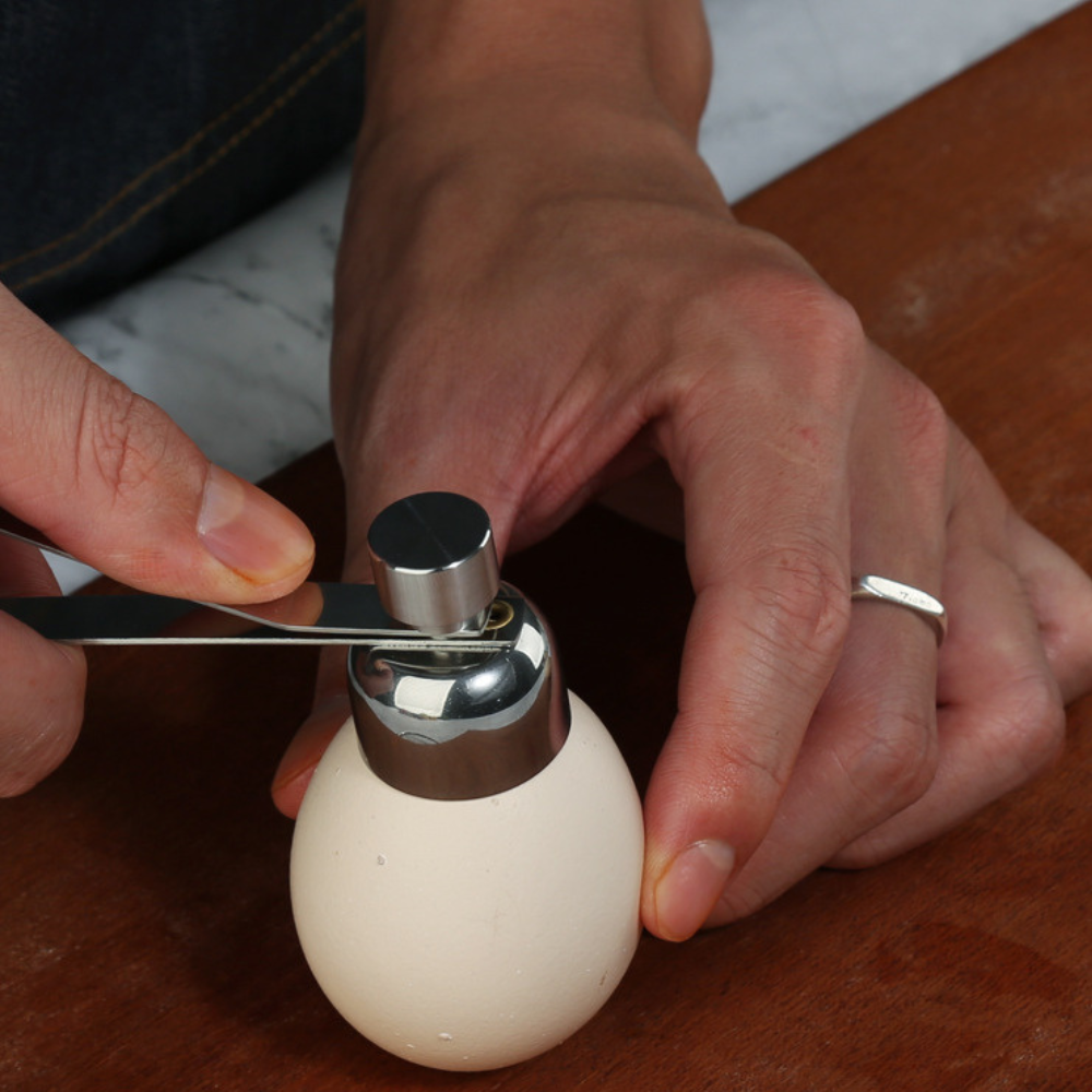 Easy Egg Cracker (BLACKLIST)