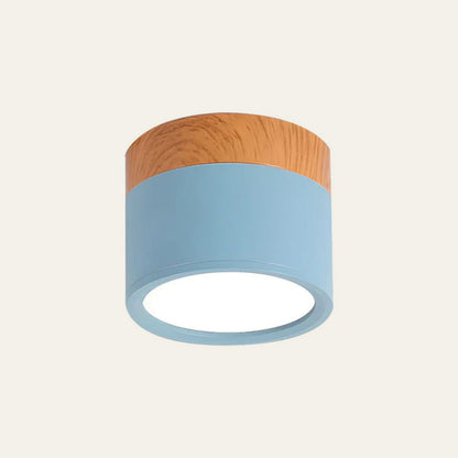 Cylindrical LED Ceiling Light