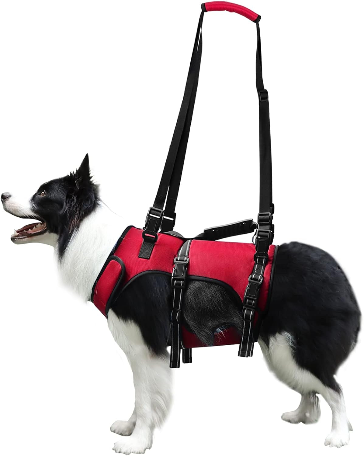 Dog Lift Harness, Full Body Support & Recovery Sling, Pet Rehabilitation Lifts Vest Adjustable Breathable Straps for Old, Disabled, Joint Injuries, Arthritis, Paralysis Dogs Walk (Blue, S) Collars Dogs Harnesses Harnesses & Leashes Pet Supplies Vest Harnesses