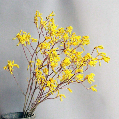 Fleur immortelle artificielle de griffe de kangourou