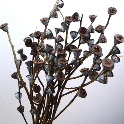 Artificial Eucalyptus Fruit Stems