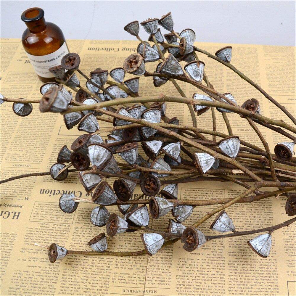 Artificial Eucalyptus Fruit Stems