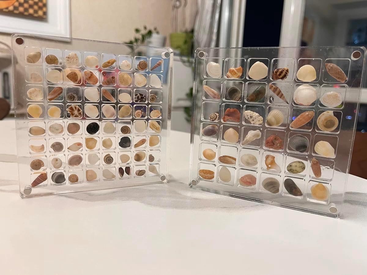 Seashell Display Box