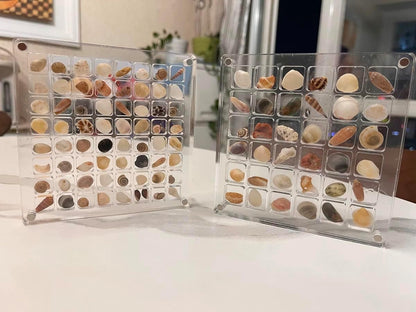 Seashell Display Box